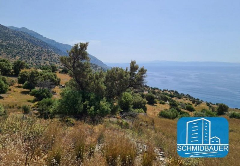 Agios Pavlos Kreta, Agios Pavlos: Grundstück mit herrlichem Meerblick im Süden zu verkaufen Grundstück kaufen